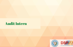 16.01.2025 – Carta auditului public intern